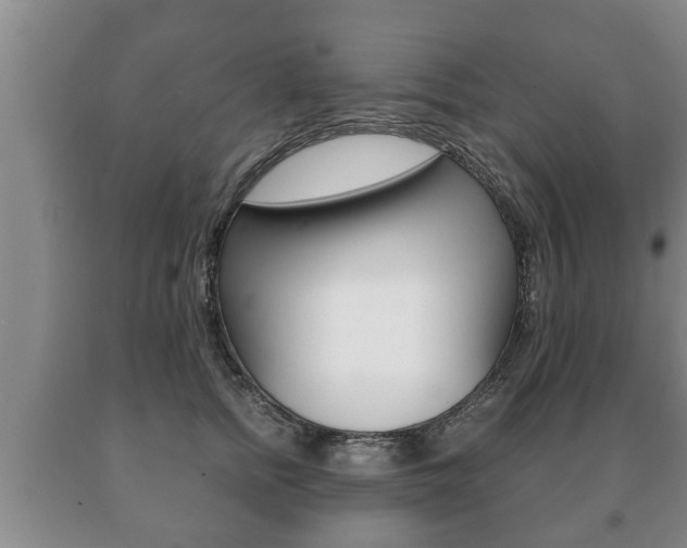 X0000091060758200708060959