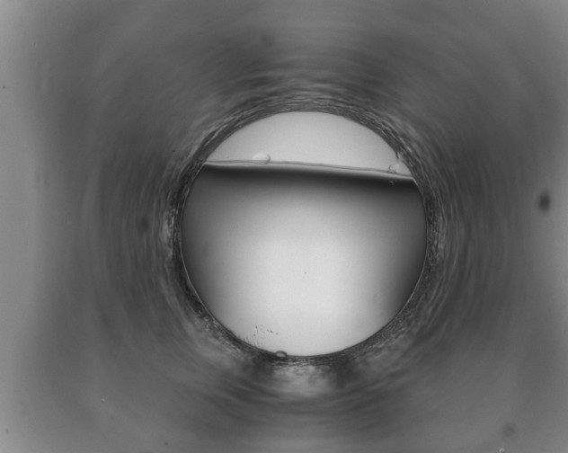 X0000091060759200708061000