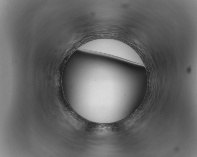 X0000091060760200708061000