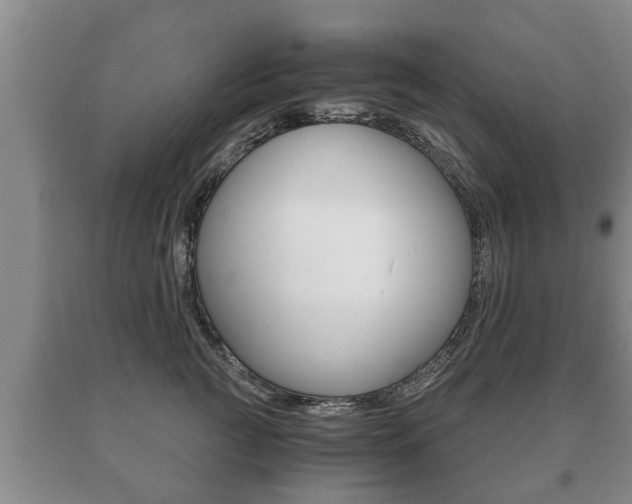 X0000091060761200708061000
