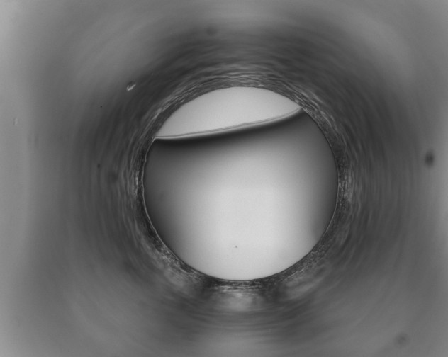 X0000091060763200708061000