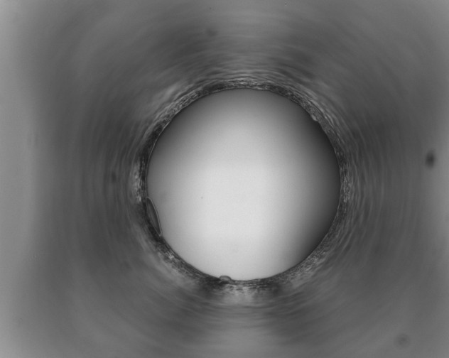 X0000091060764200708061000