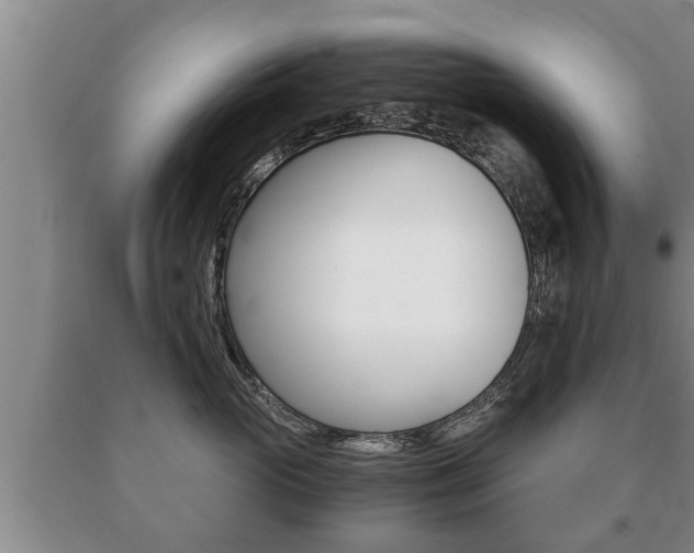 X0000091060765200708061000