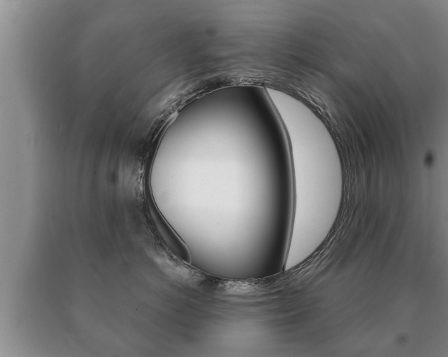 X0000091060766200708061000