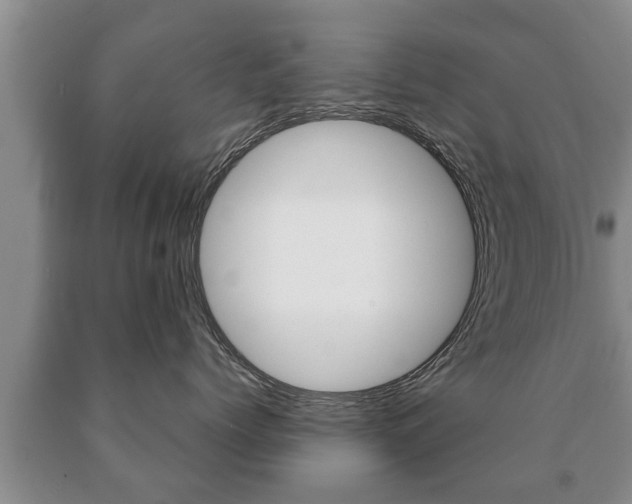 X0000091060768200708061000