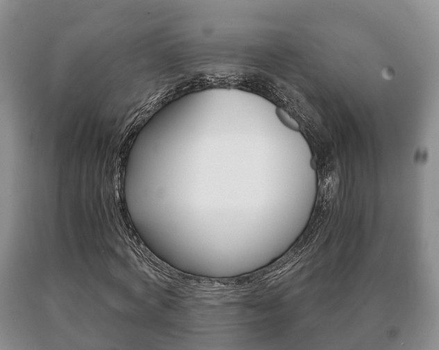 X0000091060772200708060959