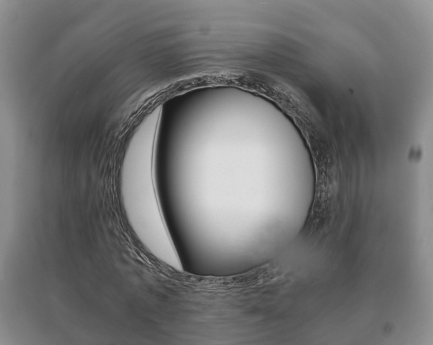 X0000091060773200708060959