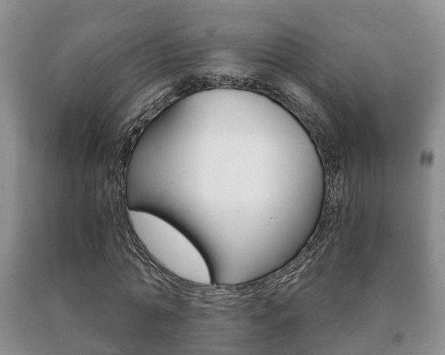 X0000091060774200708060959