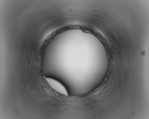 X0000091060775200708060959