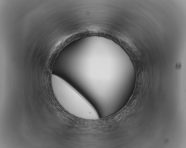 X0000091060776200708060959