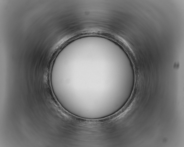 X0000091060778200708060959