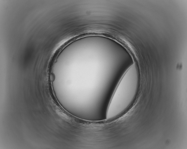 X0000091060779200708060959