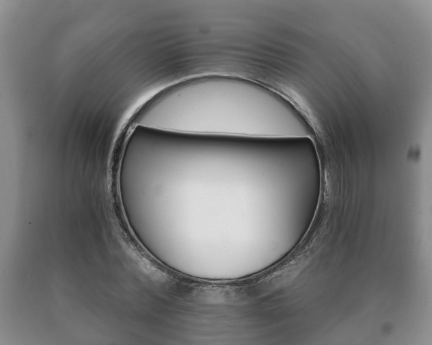X0000091060780200708060959