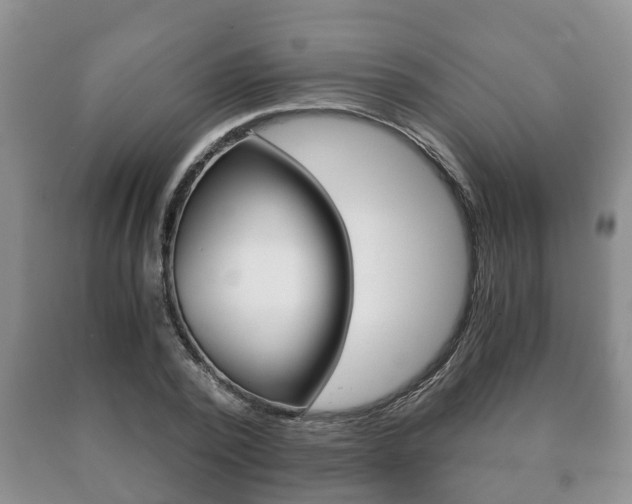 X0000091060784200708060959