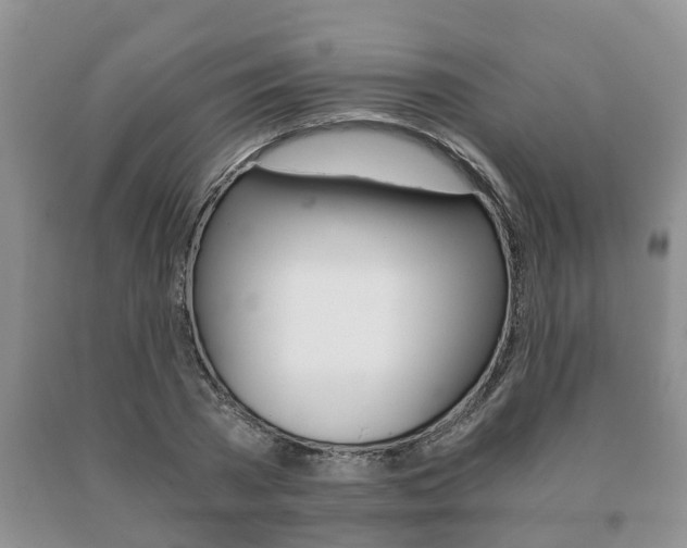X0000091060785200708060959
