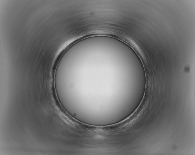 X0000091060787200708060959