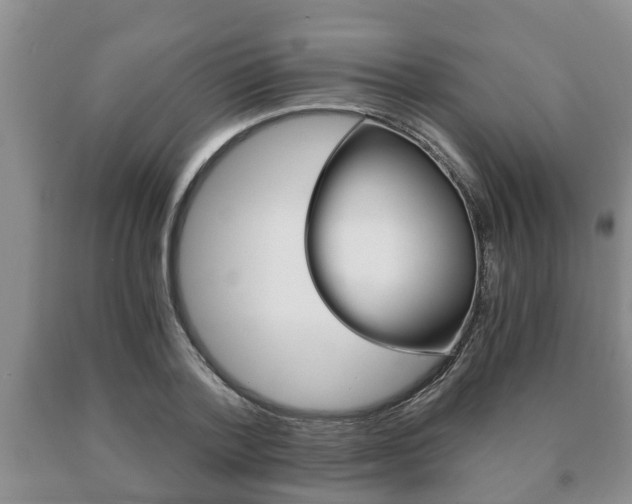 X0000091060788200708060959