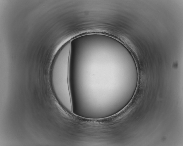X0000091060789200708060959