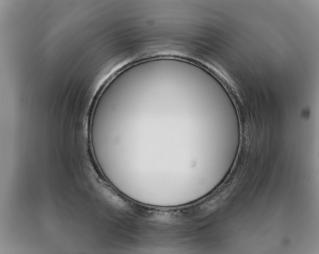 X0000091060790200708060959