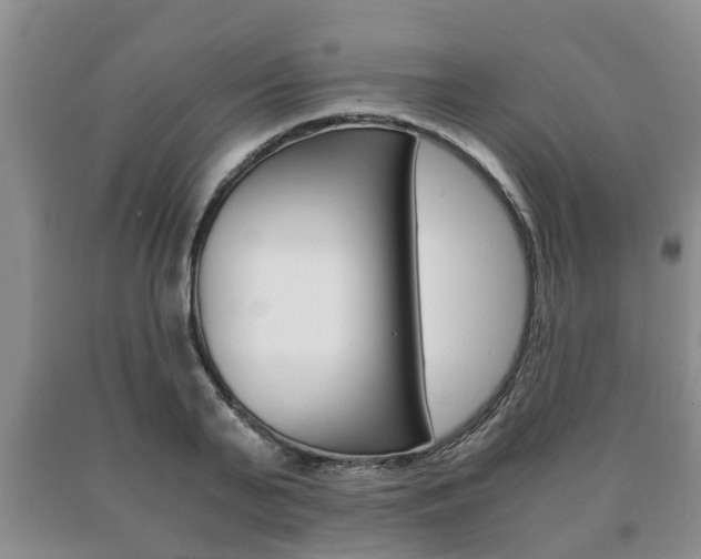 X0000091060791200708060958