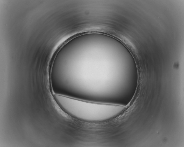 X0000091060792200708060958