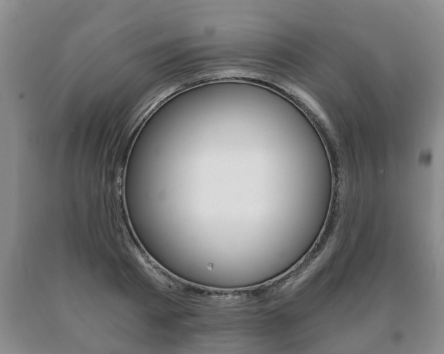 X0000091060793200708060958