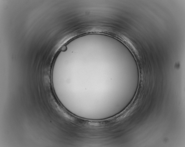 X0000091060794200708060958