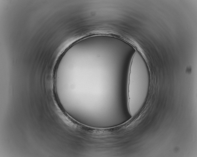 X0000091060795200708060958