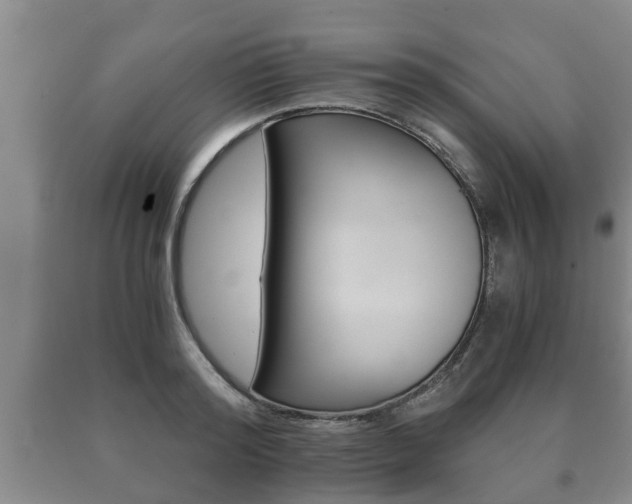 X0000091060796200708060958