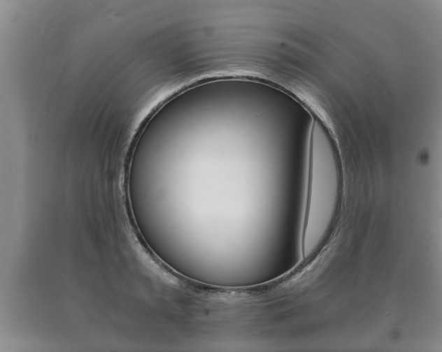 X0000091060797200708060958