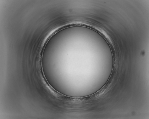 X0000091060799200708060958