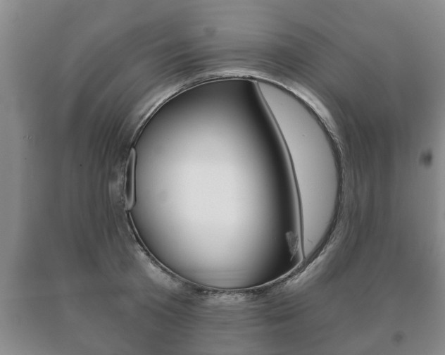 X0000091060801200708060958