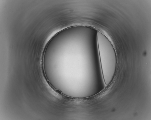 X0000091060803200708060958