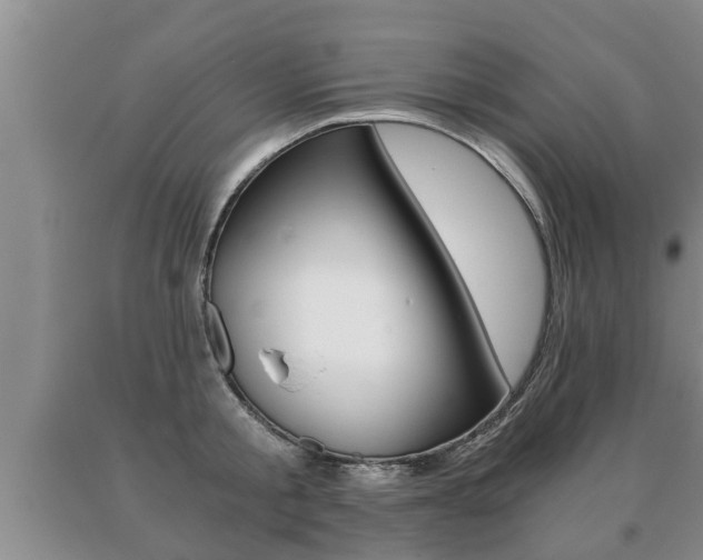 X0000091060805200708060958