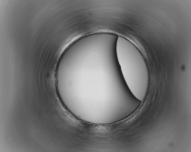 X0000091060806200708060958