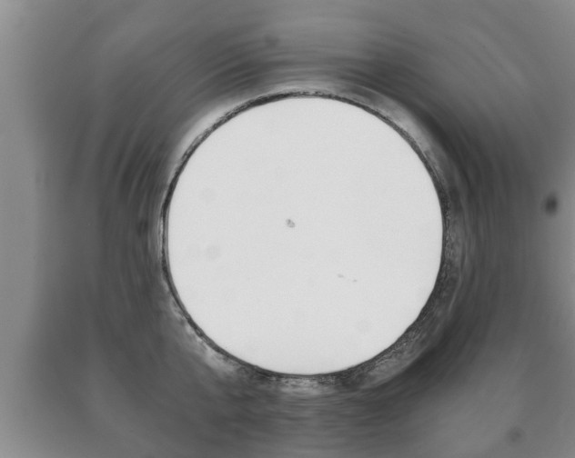 X0000091060807200708060958