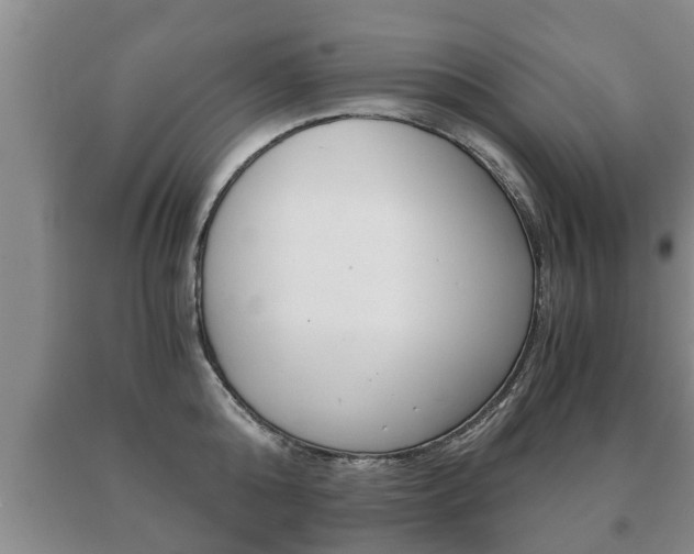 X0000091060808200708060958