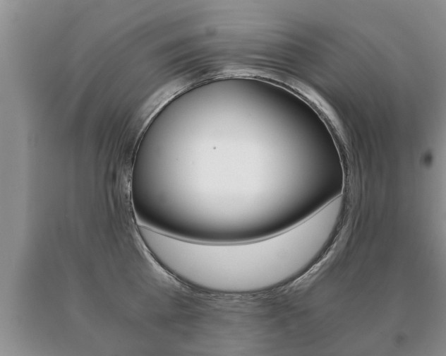 X0000091060809200708060958