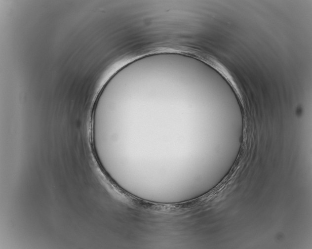 X0000091060811200708060958
