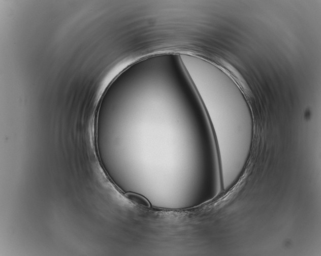 X0000091060812200708060958