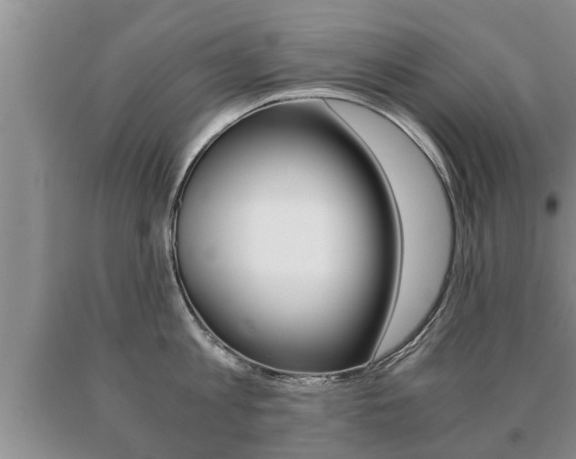 X0000091060813200708060958