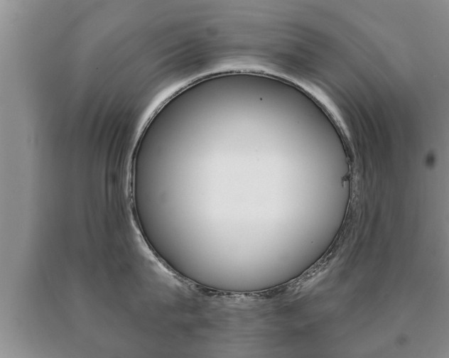 X0000091060815200708060958