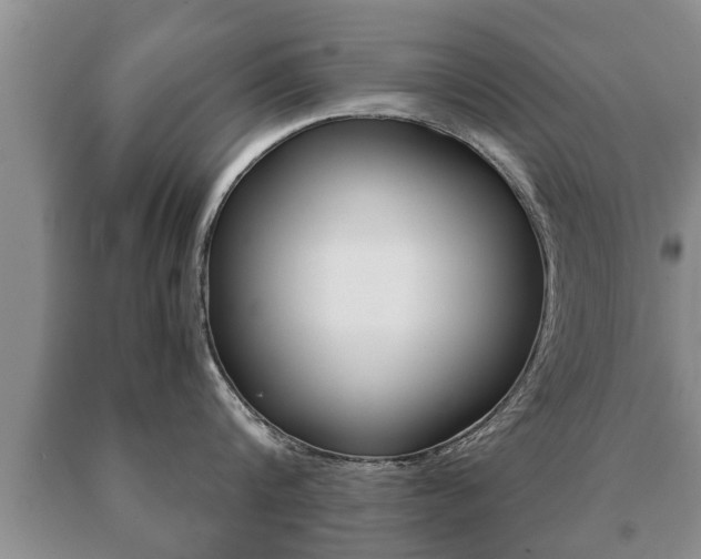 X0000091060816200708060958