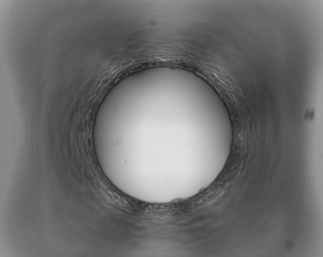 X0000091060817200708060957