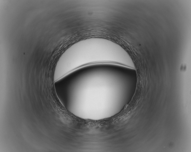X0000091060818200708060957