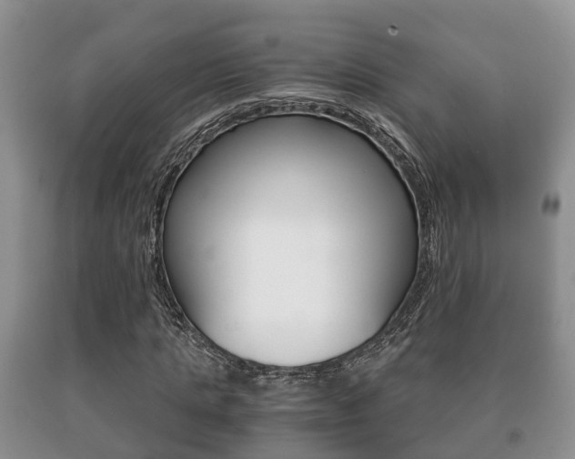 X0000091060821200708060958