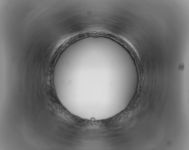 X0000091060823200708060958