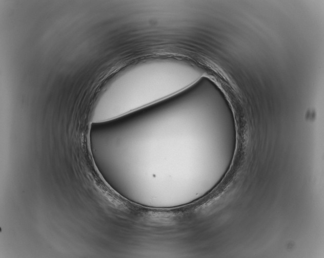 X0000091060825200708060958