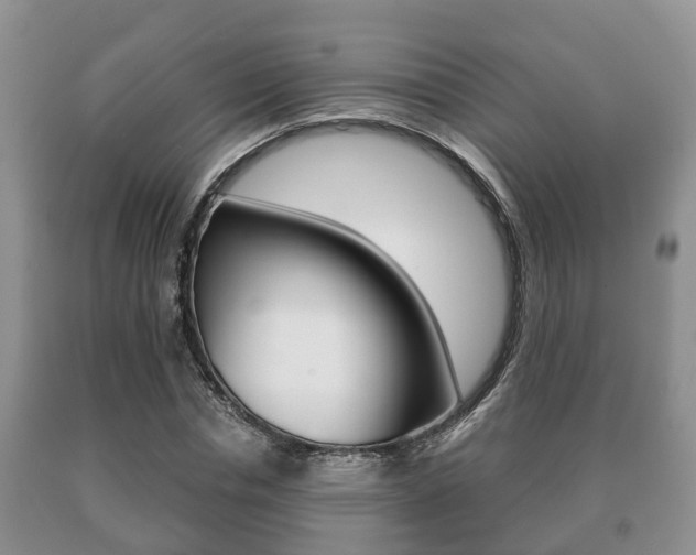 X0000091060826200708060958