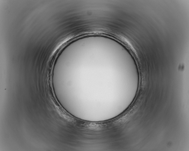 X0000091060827200708060958
